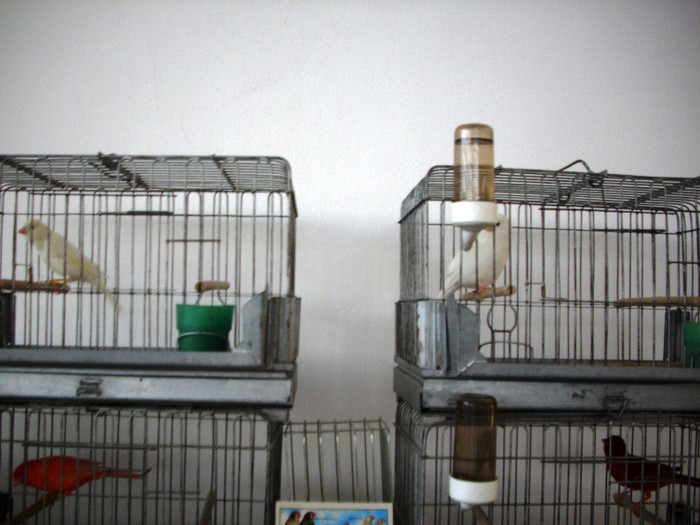 expo 2011 Craiova 072