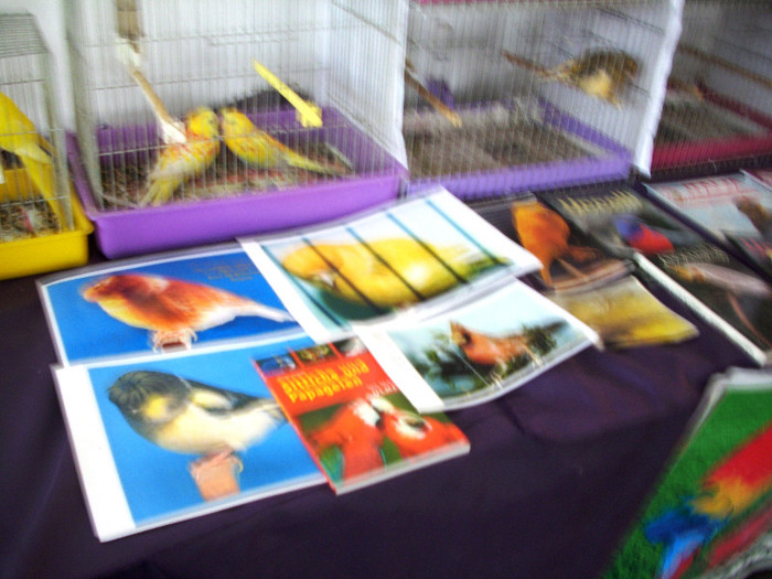 expo 2011 Craiova 075