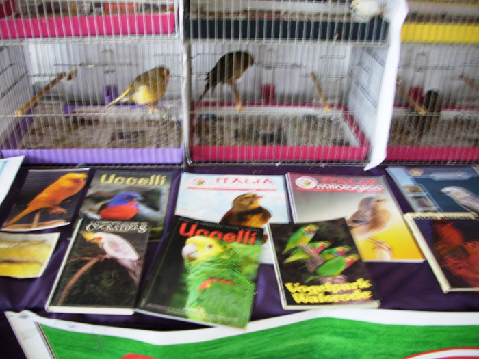 expo 2011 Craiova 076