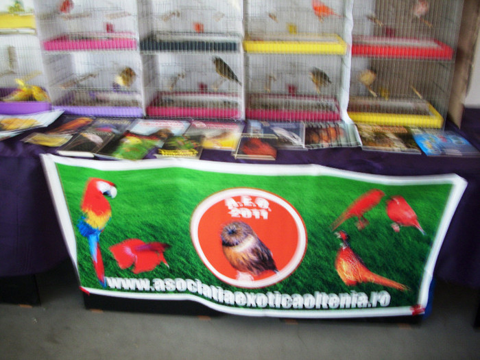 expo 2011 Craiova 079