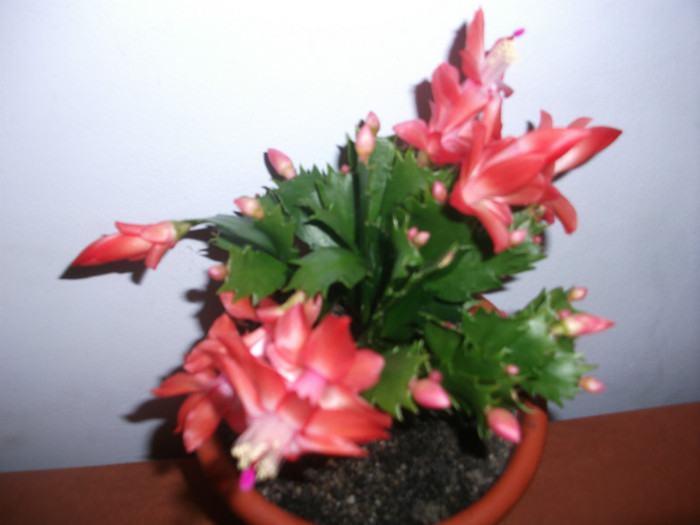 poze 120