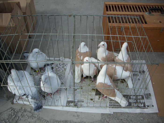 expo 2011 Craiova 105