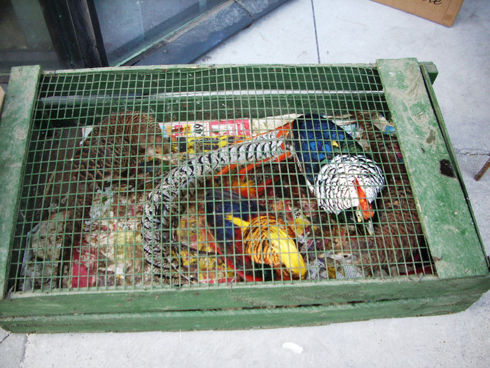 expo 2011 Craiova 119