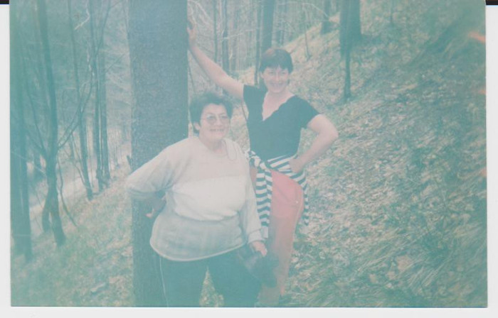 lacul lesu imprejurimi 001