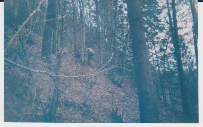 lacul lesu imprejurimi 002