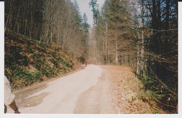 lacul lesu imprejurimi 004