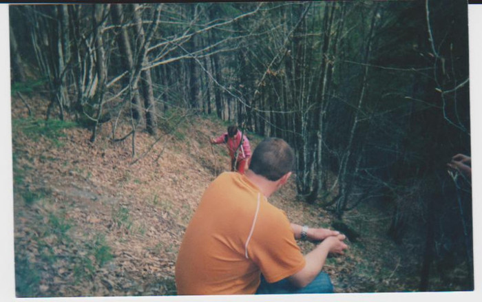 lacul lesu imprejurimi 005