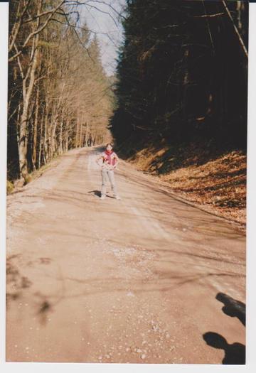 lacul lesu imprejurimi 006