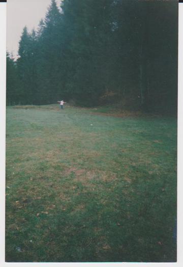 lacul lesu valea lupului in popas 022