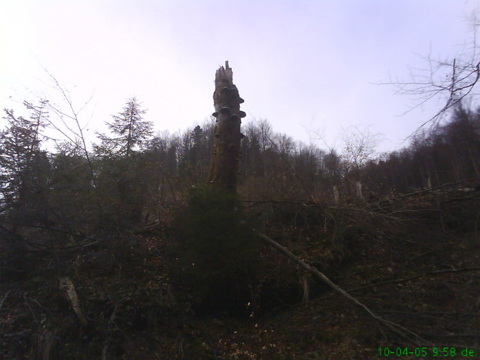 lacul lesu imprejurimi 016