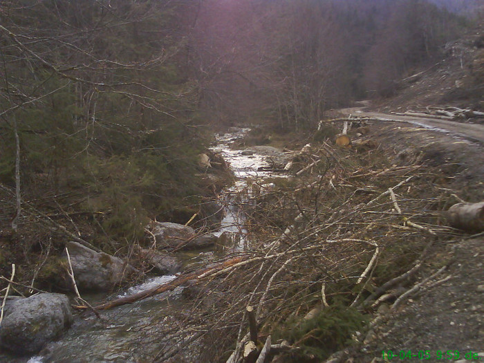 lacul lesu valea lupului 001