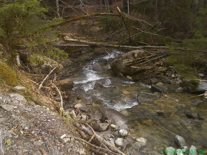 lacul lesu valea lupului 002