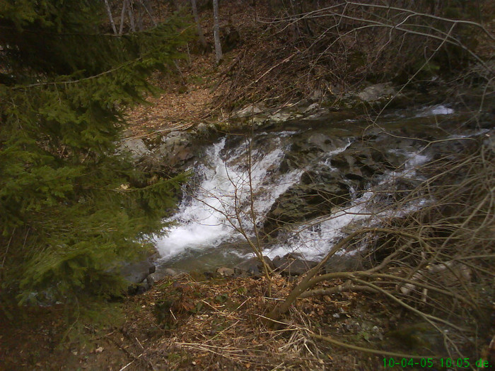 lacul lesu valea lupului 006
