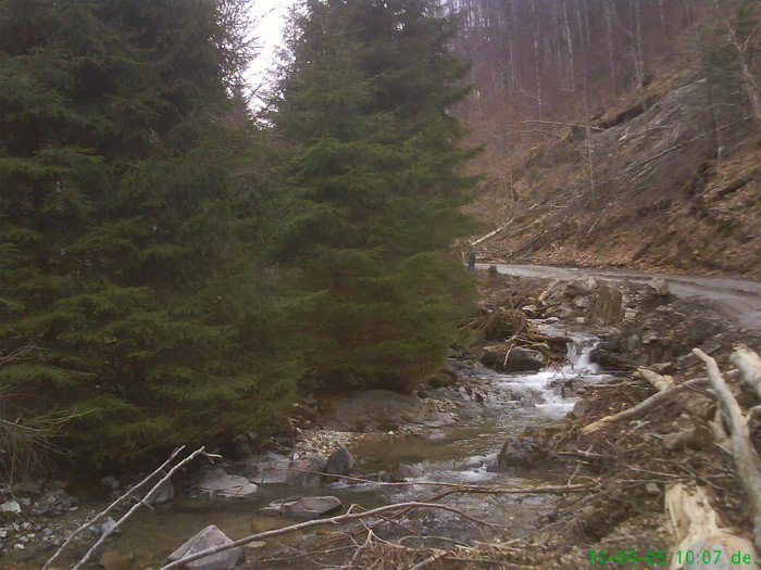 lacul lesu valea lupului 007 - LACUL LESU