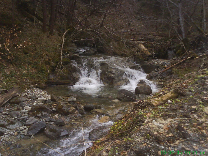lacul lesu valea lupului 008
