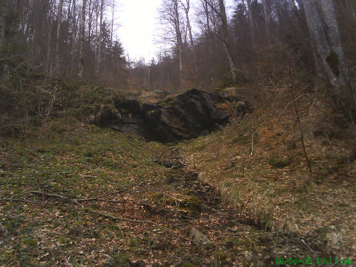 lacul lesu imprejurimi 017