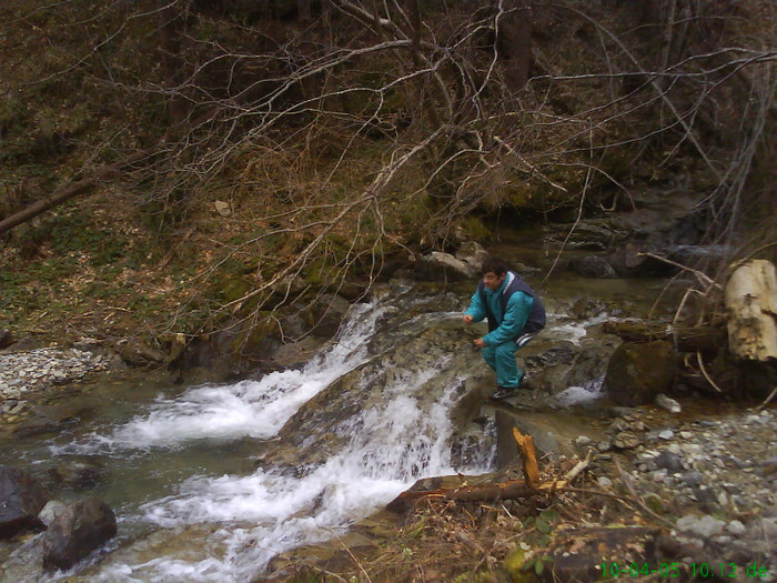 lacul lesu valea lupului 009