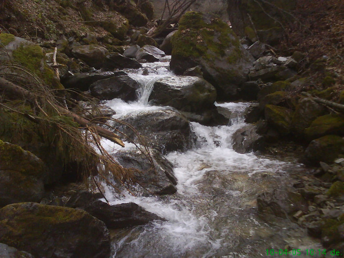 lacul lesu valea lupului 011