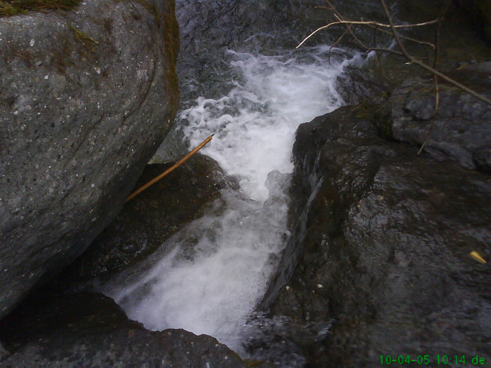 lacul lesu valea lupului 012