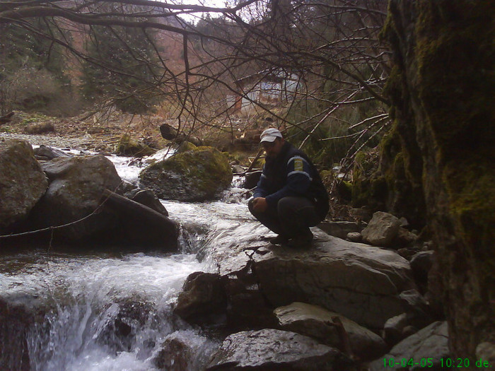 lacul lesu valea lupului 016