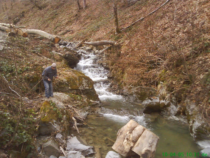 lacul lesu valea lupului 020