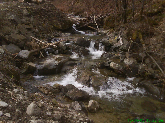 lacul lesu valea lupului 021