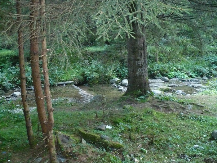lacul lesu valea lupului in popas 037