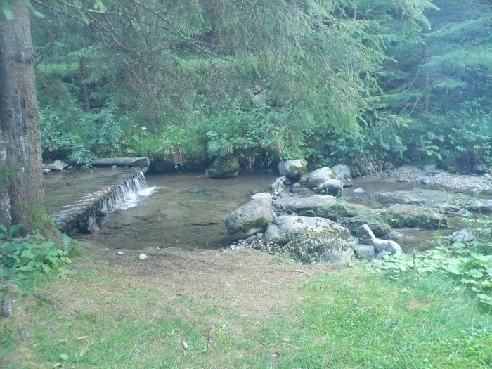 lacul lesu valea lupului in popas 038
