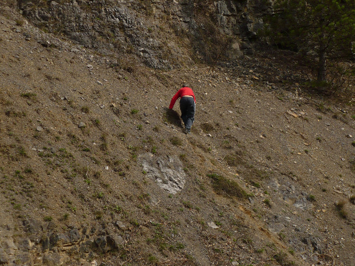 langa barajul bulz 001