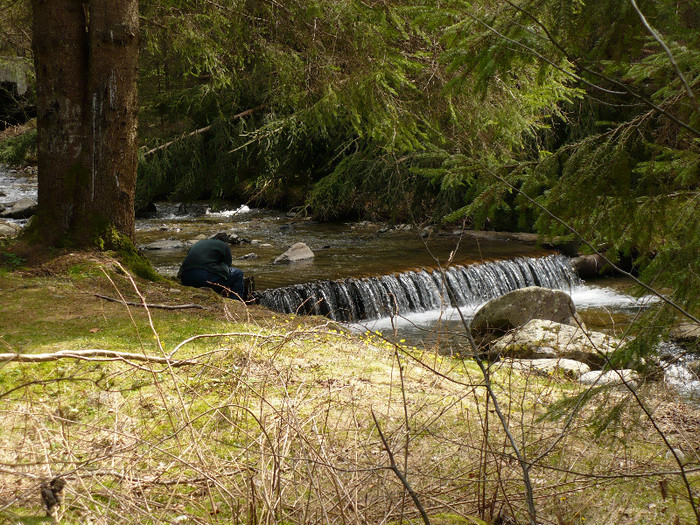 lacul lesu valea lupului in popas 042