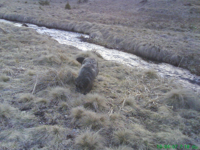 Izvoarele Maramures 016
