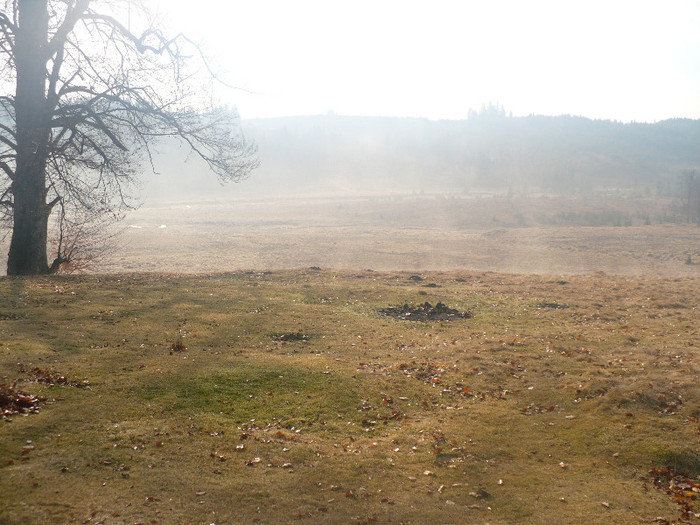 Izvoarele Maramures 027