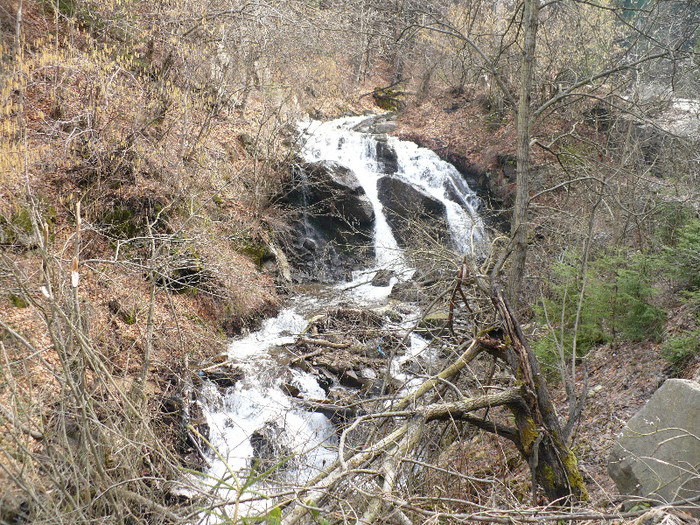 coborand de la Izvoare la Firiza 007