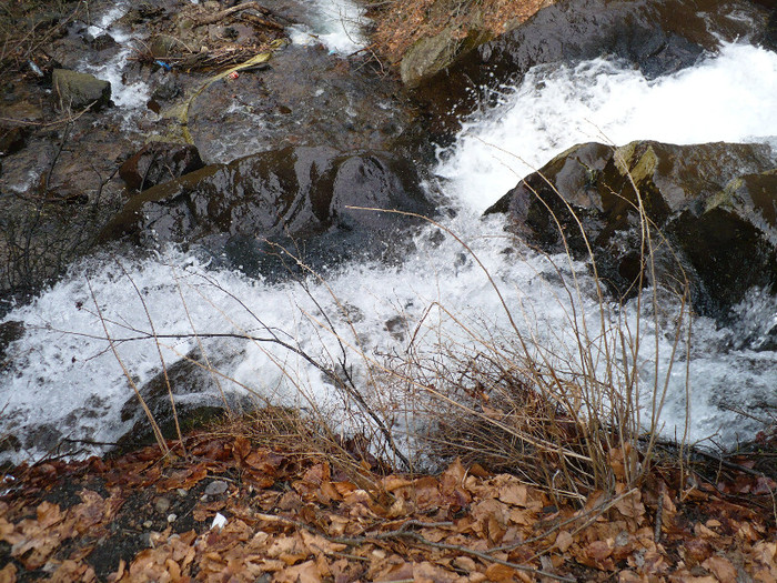 coborand de la Izvoare la Firiza 011