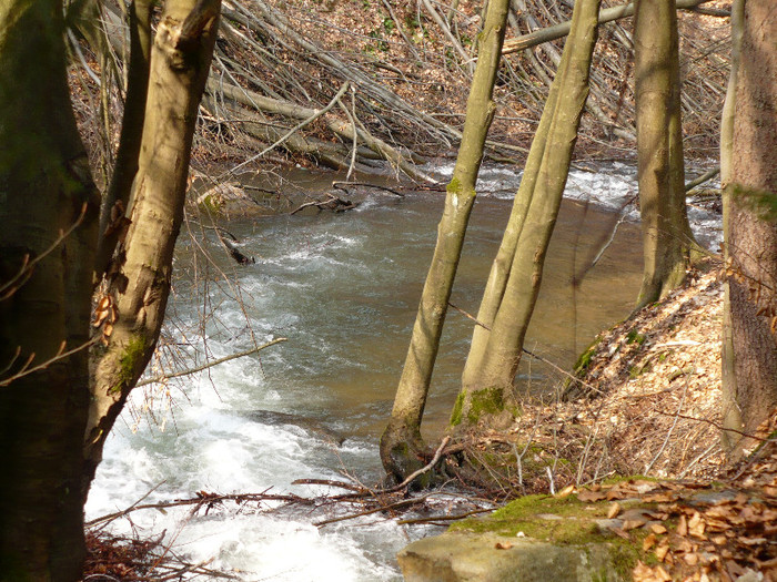 coborand de la Izvoare la Firiza 020 - LACUL FIRIZA SI STATIUNEA IZVOARELE