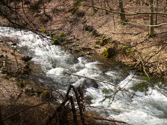 coborand de la Izvoare la Firiza 021 - LACUL FIRIZA SI STATIUNEA IZVOARELE