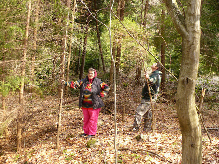 coborand de la Izvoare la Firiza 031 - LACUL FIRIZA SI STATIUNEA IZVOARELE