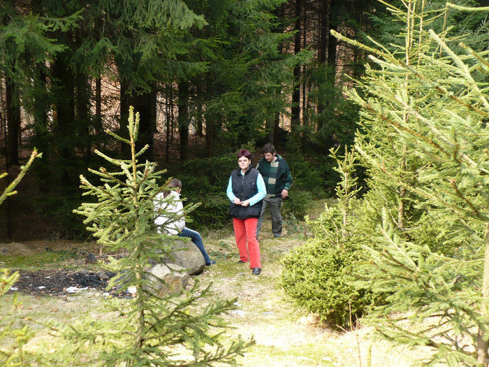 coborand de la Izvoare la Firiza 032 - LACUL FIRIZA SI STATIUNEA IZVOARELE