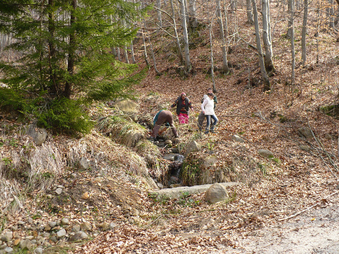 coborand de la Izvoare la Firiza 033 - LACUL FIRIZA SI STATIUNEA IZVOARELE