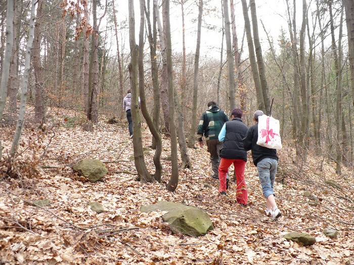 Firiza lacul si imprejurimile 015