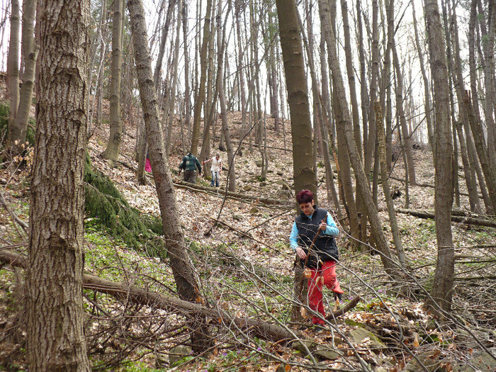 Firiza lacul si imprejurimile 016 - LACUL FIRIZA SI STATIUNEA IZVOARELE