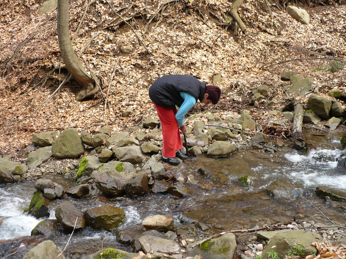 Firiza lacul si imprejurimile 017 - LACUL FIRIZA SI STATIUNEA IZVOARELE