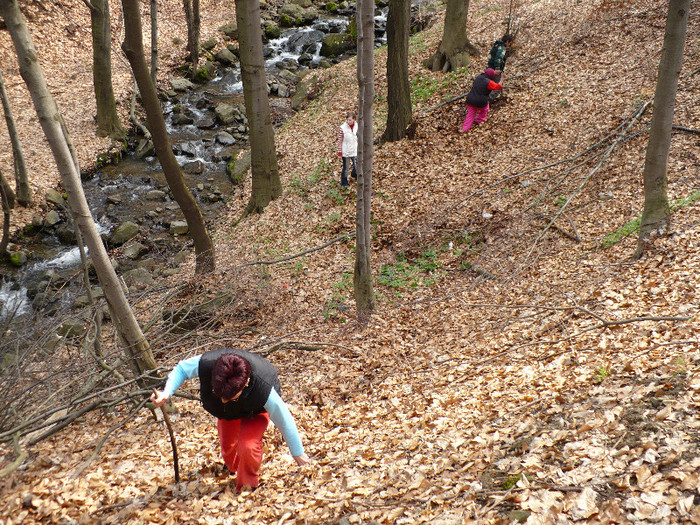 Firiza lacul si imprejurimile 022 - LACUL FIRIZA SI STATIUNEA IZVOARELE