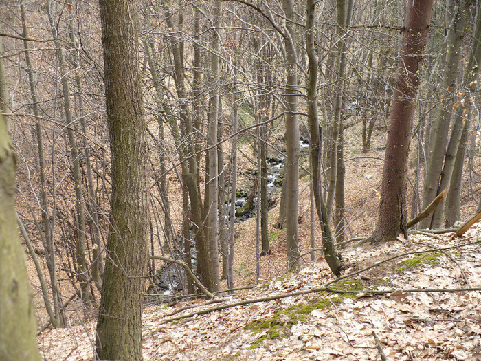 Firiza lacul si imprejurimile 023 - LACUL FIRIZA SI STATIUNEA IZVOARELE