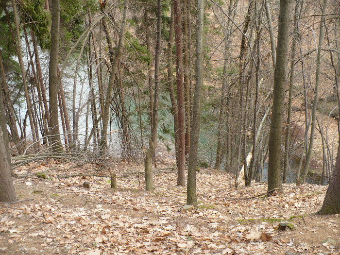 Firiza lacul si imprejurimile 024 - LACUL FIRIZA SI STATIUNEA IZVOARELE