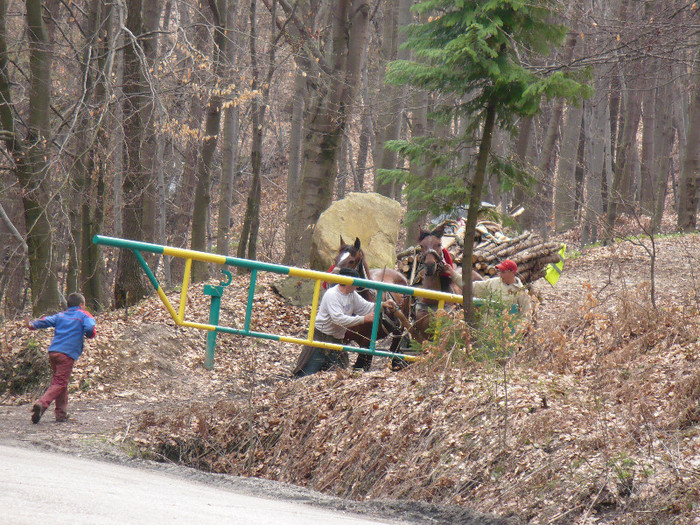 Firiza lacul si imprejurimile 025 - LACUL FIRIZA SI STATIUNEA IZVOARELE