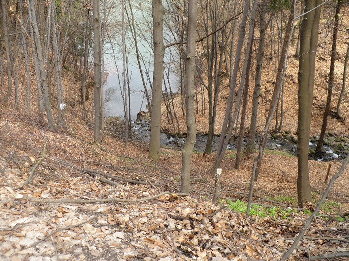 Firiza lacul si imprejurimile 026 - LACUL FIRIZA SI STATIUNEA IZVOARELE