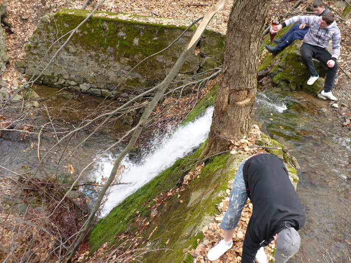 Firiza lacul si imprejurimile 030