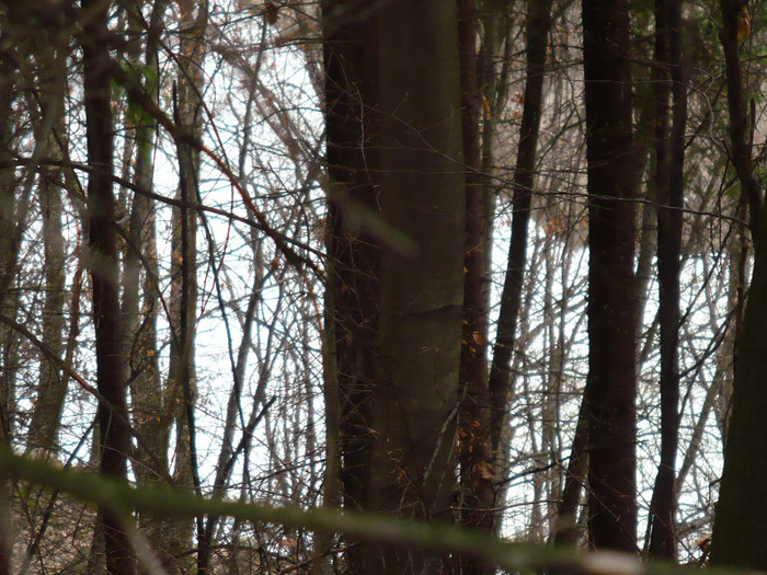 Firiza lacul si imprejurimile 031