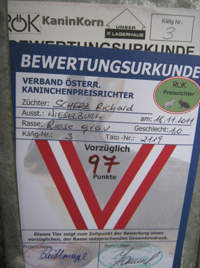 wieselburg 009 - Wieselburg austelung-2011